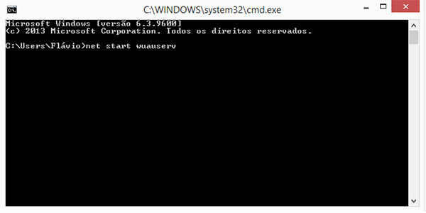 Windows Update Prompt de Comando